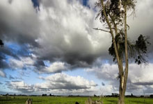 利用信息差赚钱!