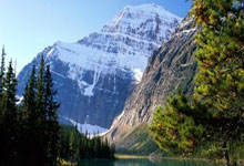 利用信息差赚钱!