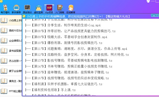 闻闻路金独家揭秘:菜鸟如何快速在网上赚到第一桶金!